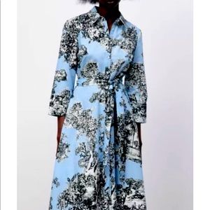 NWT stunning Zara toile dress midi xl